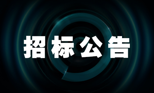 2025年广东杏彩在线客服,科技集团股份有限公司安装服务项目-招标公告